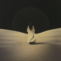 Sunnata - Chasing Shadows