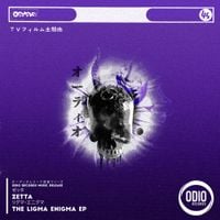 Zetta - The Ligma Enigma