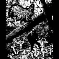 Lichen - Neolithic Sorcery