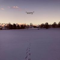 The Apology Club - Sorry