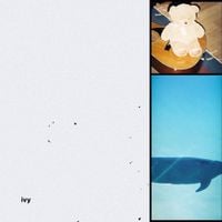SuL - ivy