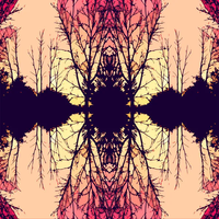 Scintillation! - Consciousness