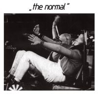 The Normal - Warm Leatherette