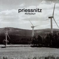 Priessnitz - Potichu?