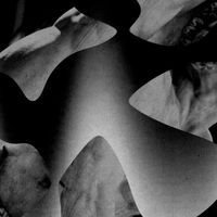 Oisel - Collage