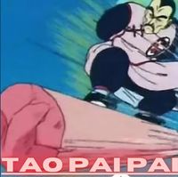 Corxea Chanpur&uuml; - Tao Pai Pai