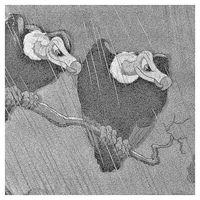 Parris - 2 Vultures