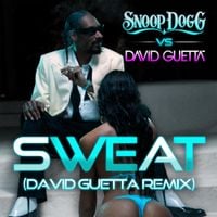 David Guetta - Sweat (Remix)