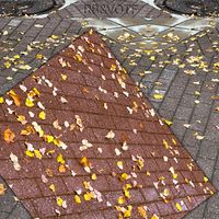 JSWE - Rock Bottom And Visions Of The Future