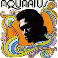 Herman Chin-Loy - Aquarius Dub
