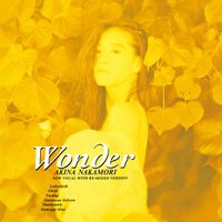 中森明菜 [Akina Nakamori] - Wonder