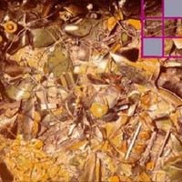 The Stone Roses - So Young/Tell Me
