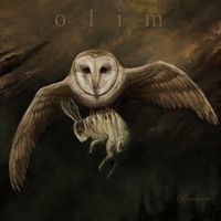 Olim - Because