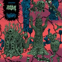 DisKord - Bipolarities