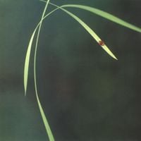 Fluke - Out (In Essence)
