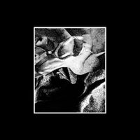 Sweaty Palms - The Pursuit of Novelty