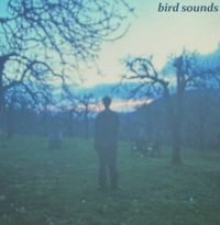 Paper Curtains - bird sounds