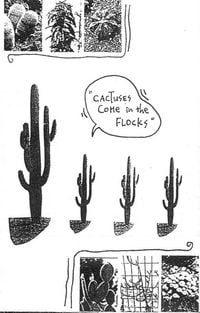 Melt-Banana - Cactuses Come in Flocks