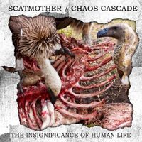 Scatmother - The Insignificance Of Human Life