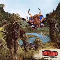 Chicharron - Estrella Tropical
