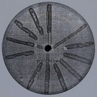 Basic Channel - Phylyps Trak II