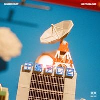 Ginger Root - No Problems