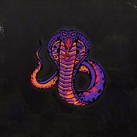 Nikki Nair - Snake