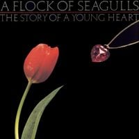 A Flock of Seagulls - The Story of a Young Heart
