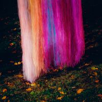 slenderbodies - before