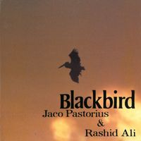 Jaco Pastorius - Blackbird
