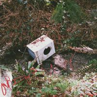 Ivy Lab - OURDOGISMISSING