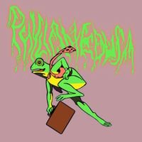 Phyllomedusa - Pet Store Riot