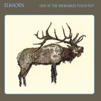 Elkhorn - Live at the Milwaukee Psych Fest