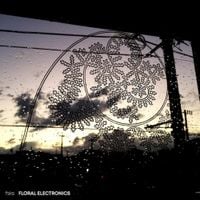 Fsks - floral electronics