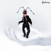 CHINCHILLA - Flytrap