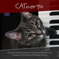 Klaipėdos Kamerinis Orkestras - CATcerto