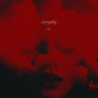 Skycamefalling - 10.21