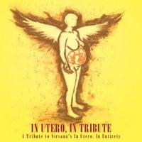 Various Artists - In Utero, In Tribute: A Tribute To Nirvana's In Utero, In Entirety