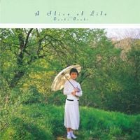 大貫妙子 [Taeko Ōnuki] - A Slice of Life