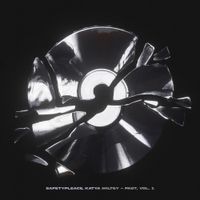safetypleace - PAST, VOL.1