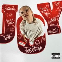 Josodo - J O Y