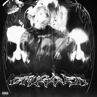 Pupis - DRUGOVER