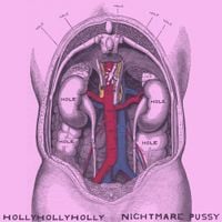 Hollyhollyholly - Nightmare Pussy