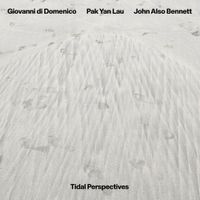 Giovanni Di Domenico, Pak Yan Lau And John Also Bennett - Tidal Perspectives