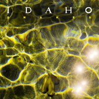Idaho - Snakes