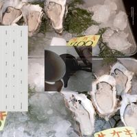 Loke Rahbek & Frederik Valentin - Buy Corals Online