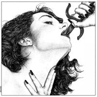 Entropica - Adentro