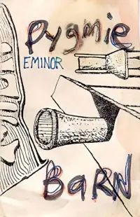 Neutral Milk Hotel - Pygmie Barn in E Minor