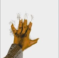 Cities Aviv - THE SUN THE MOON THE SPA