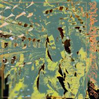 Fermata Ark - ANHINGA // Sonder